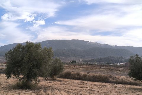 Villa zum Verkauf in Monovar, Alicante, Spanien 3 Schlafzimmer, 155 m2 Nr. 150168 - Foto 17