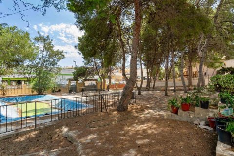 Willa w Torrevieja, Alicante, Hiszpania 6 sypialni, 350 mkw. nr 193365 – zdjęcie 5