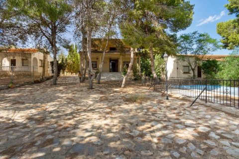 Willa w Torrevieja, Alicante, Hiszpania 6 sypialni, 350 mkw. nr 193365