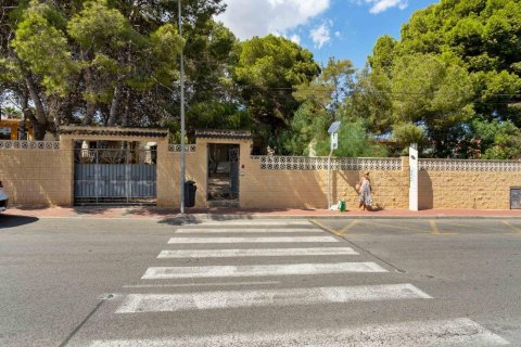 Willa w Torrevieja, Alicante, Hiszpania 6 sypialni, 350 mkw. nr 193365 – zdjęcie 6