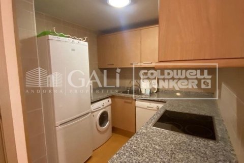 Lägenhet till salu i Principado De Andorra (Ninguna Poblacion Tiene C.P.), Lleida, Spanien 1 sovrum, 55 kvm. Nr. 156970 - foto 5