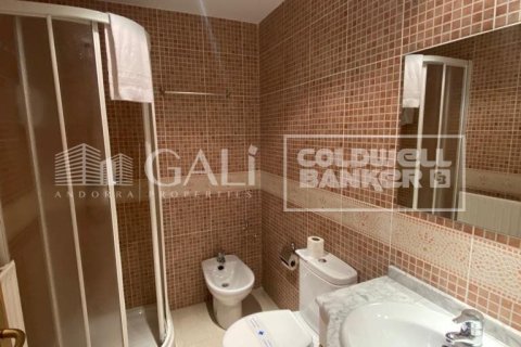 Lägenhet till salu i Principado De Andorra (Ninguna Poblacion Tiene C.P.), Lleida, Spanien 1 sovrum, 55 kvm. Nr. 156970 - foto 15