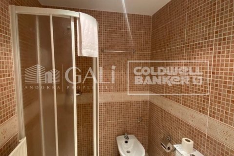 Lägenhet till salu i Principado De Andorra (Ninguna Poblacion Tiene C.P.), Lleida, Spanien 1 sovrum, 55 kvm. Nr. 156970 - foto 14