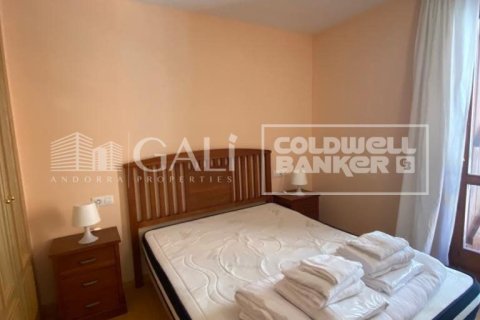 Lägenhet till salu i Principado De Andorra (Ninguna Poblacion Tiene C.P.), Lleida, Spanien 1 sovrum, 55 kvm. Nr. 156970 - foto 11