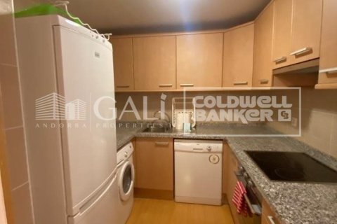 Lägenhet till salu i Principado De Andorra (Ninguna Poblacion Tiene C.P.), Lleida, Spanien 1 sovrum, 55 kvm. Nr. 156970 - foto 6