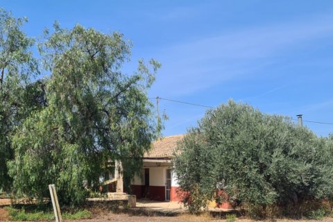 House à vendre à Lorca, Murcia, Espagne, 5 chambres, 150 m2 No. 185820 - photo 6