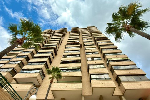 Apartament Benidorm, Alicante, Hiszpania 1 sypialnia, 48 mkw. nr 138657 – zdjęcie 3