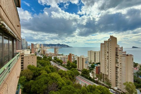 Apartament Benidorm, Alicante, Hiszpania 1 sypialnia, 48 mkw. nr 138657 – zdjęcie 14