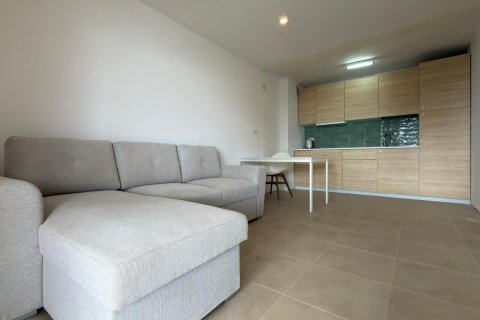 Apartament Benidorm, Alicante, Hiszpania 1 sypialnia, 48 mkw. nr 138657 – zdjęcie 10