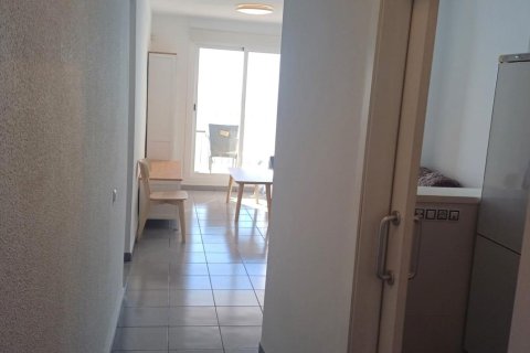 Apartament Benidorm, Alicante, Hiszpania 2 sypialnie, 60 mkw. nr 138655 – zdjęcie 23