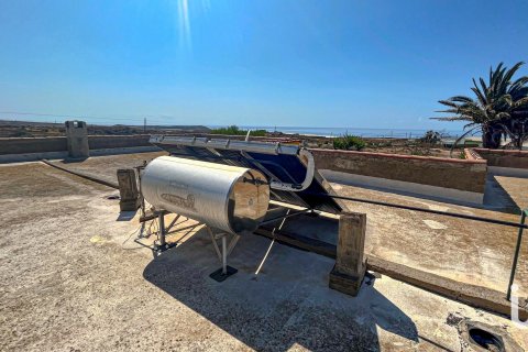 Dom w San Isidro De Abona, Tenerife, Hiszpania 6 sypialni, 8000 mkw. nr 154212 – zdjęcie 29