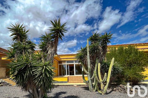 Dom w San Isidro De Abona, Tenerife, Hiszpania 6 sypialni, 8000 mkw. nr 154212 – zdjęcie 2