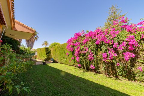 Villa à vendre Dehesa De Campoamor, Alicante, Espagne, 7 chambres, 240 m2 No. 138232 - photo 7