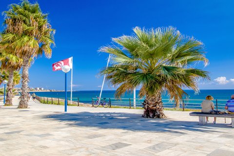 Lägenhet till salu i Playa Flamenca II, Alicante, Spanien 2 sovrum, Nr. 146129 - foto 28