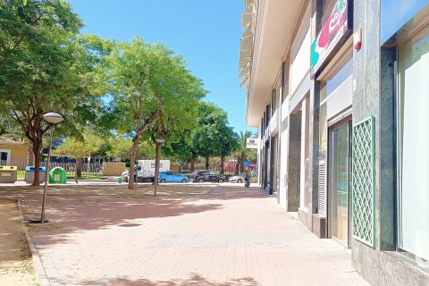 Lokal usługowy w El Campello, Alicante, Hiszpania 2 sypialnie, 167 mkw. nr 152919 – zdjęcie 25