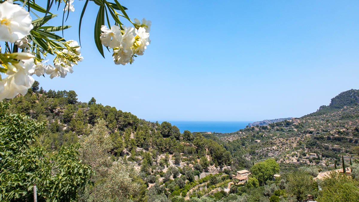 Finca i Deia, Mallorca, Spanien 6 sovrum, 305 kvm. Nr. 73166