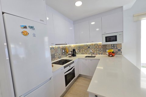 Villa à vendre à Pilar de la Horadada, Alicante, Espagne, 3 chambres, 111 m2 No. 189306 - photo 16