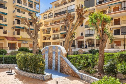 Wohnung zum Verkauf in La Mata, Alicante, Spanien 1 Schlafzimmer, Nr. 189304 - Foto 18
