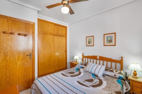 Wohnung zum Verkauf in La Mata, Alicante, Spanien 1 Schlafzimmer, Nr. 189304 - Foto 14