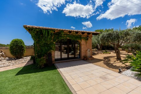 Villa till salu i San Vicente del Raspeig, Alicante, Spanien 5 sovrum, 450 kvm. Nr. 135641 - foto 22