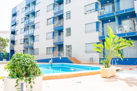 Dzīvoklis pārdošanā Torrevieja, Alicante, Spānijā 4 istabas, 133 m2 Nr. 135637 - attēls 27