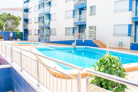 Dzīvoklis pārdošanā Torrevieja, Alicante, Spānijā 4 istabas, 133 m2 Nr. 135637 - attēls 26