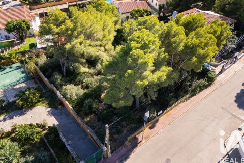 Terreno in vendita a Cunit, Tarragona, Spagna 850 mq. N° 153136 - foto 20