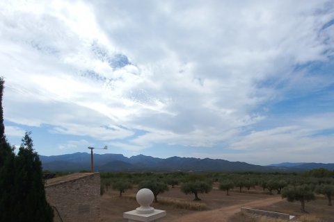 House zum Verkauf in Tivissa, Tarragona, Spanien 3 Schlafzimmer, 1247 m2 Nr. 153131 - Foto 3