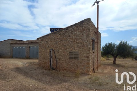 House zum Verkauf in Tivissa, Tarragona, Spanien 3 Schlafzimmer, 1247 m2 Nr. 153131 - Foto 30