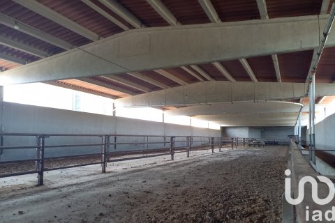 House zum Verkauf in Tivissa, Tarragona, Spanien 3 Schlafzimmer, 1247 m2 Nr. 153131 - Foto 20