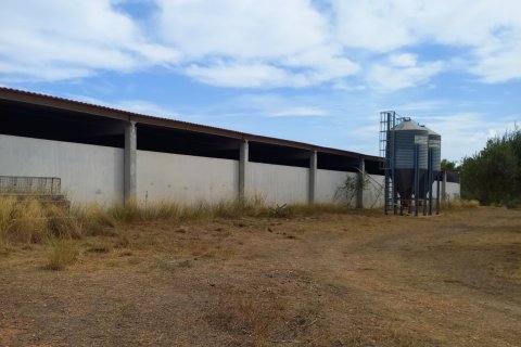 House zum Verkauf in Tivissa, Tarragona, Spanien 3 Schlafzimmer, 1247 m2 Nr. 153131 - Foto 29