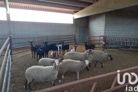 House zum Verkauf in Tivissa, Tarragona, Spanien 3 Schlafzimmer, 1247 m2 Nr. 153131 - Foto 21