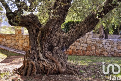 Hus till salu i Artana, Castellon, Spanien 5 sovrum, 429 kvm. Nr. 153135 - foto 12