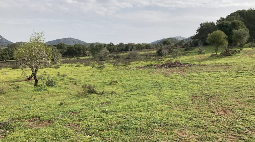 Terreno a Santanyi, Mallorca, Spagna 350 mq. N° 147875