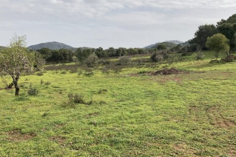 Land plot for sale in Santanyi, Mallorca, Spain 350 sq.m. No. 147875 - photo 9