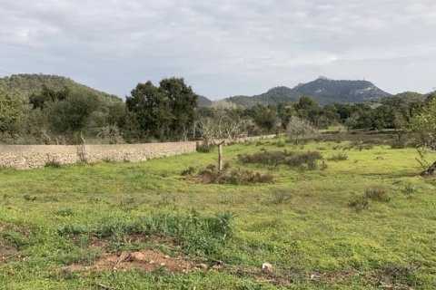 Land plot for sale in Santanyi, Mallorca, Spain 350 sq.m. No. 147875 - photo 10