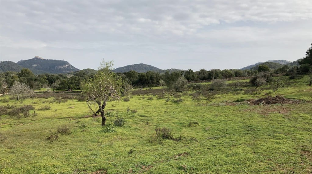 Terreno a Santanyi, Mallorca, Spagna 350 mq. N° 147875