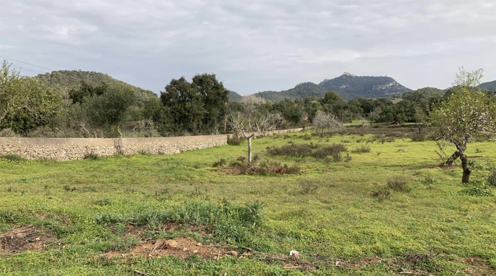 Terreno a Santanyi, Mallorca, Spagna 350 mq. N° 147875