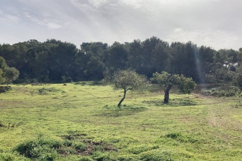 Land plot for sale in Santanyi, Mallorca, Spain 350 sq.m. No. 147875 - photo 3