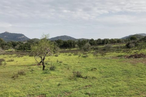 Land plot for sale in Santanyi, Mallorca, Spain 350 sq.m. No. 147875 - photo 6