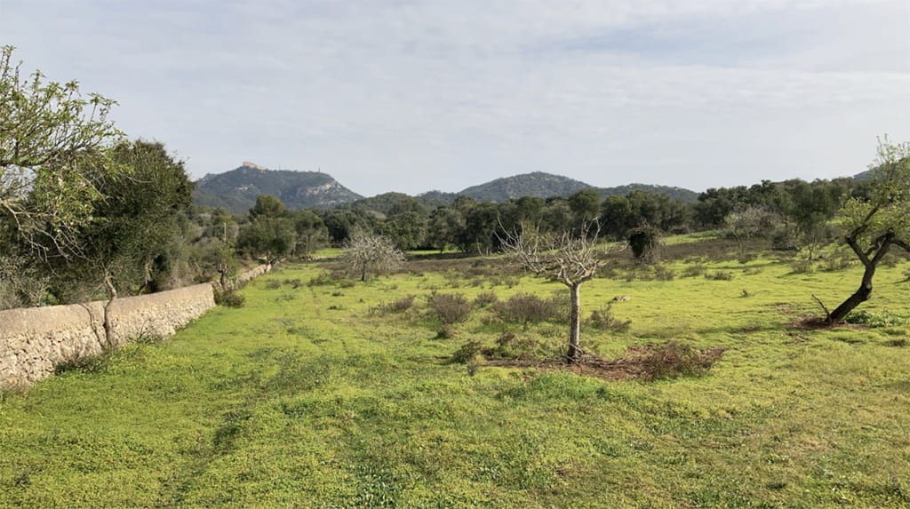 Terreno a Santanyi, Mallorca, Spagna 350 mq. N° 147875