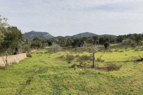 Land plot for sale in Santanyi, Mallorca, Spain 350 sq.m. No. 147875 - photo 2