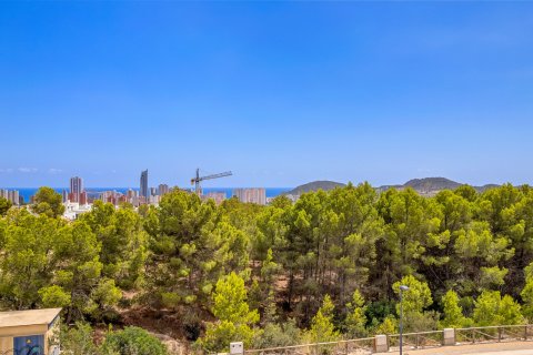 Huoneisto myytävänä Benidorm, Alicante, Espanja, 1 makuuhuone, 64 m2 No. 147870 - kuva 22