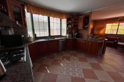 Willa w Benidorm, Alicante, Hiszpania 480 mkw. nr 165487 – zdjęcie 30