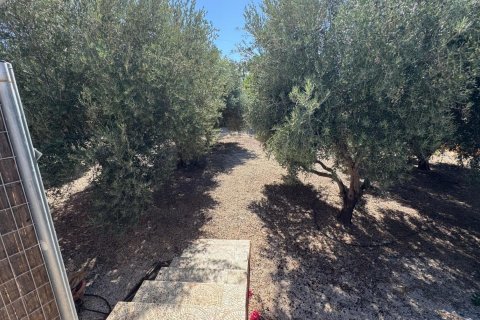 Finca à vendre à Albatera, Alicante, Espagne, 6 chambres, 226 m2 No. 189381 - photo 24
