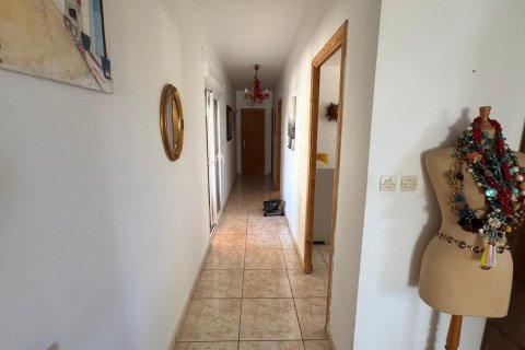 Finca à vendre à Albatera, Alicante, Espagne, 6 chambres, 226 m2 No. 189381 - photo 8
