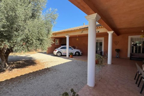 Finca à vendre à Albatera, Alicante, Espagne, 6 chambres, 226 m2 No. 189381 - photo 23