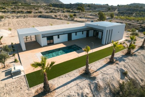 Villa en venta en Pinoso, Alicante, España 3 dormitorios, 178 m2 No. 149753 - foto 15