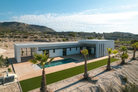 Villa pārdošanā Pinoso, Alicante, Spānijā 3 istabas, 178 m2 Nr. 149753 - attēls 5