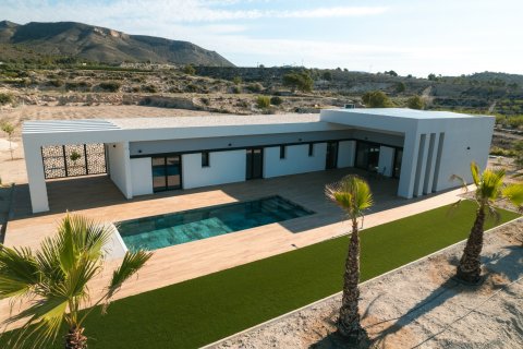 Villa en venta en Pinoso, Alicante, España 3 dormitorios, 178 m2 No. 149753 - foto 8